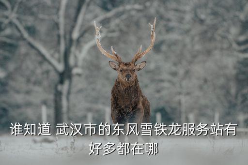 誰知道 武漢市的東風(fēng)雪鐵龍服務(wù)站有好多都在哪