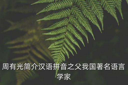 周有光簡(jiǎn)介漢語拼音之父我國著名語言學(xué)家