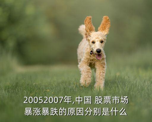 20052007年,中國(guó) 股票市場(chǎng)暴漲暴跌的原因分別是什么