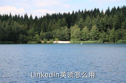 LinkedIn英領(lǐng)怎么用