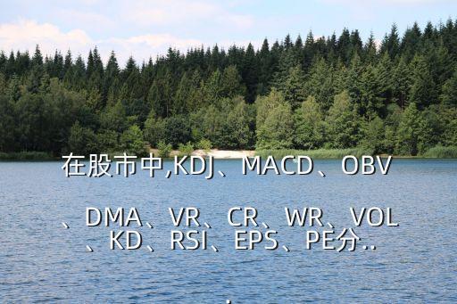 在股市中,KDJ、MACD、OBV、DMA、VR、CR、WR、VOL、KD、RSI、EPS、PE分...