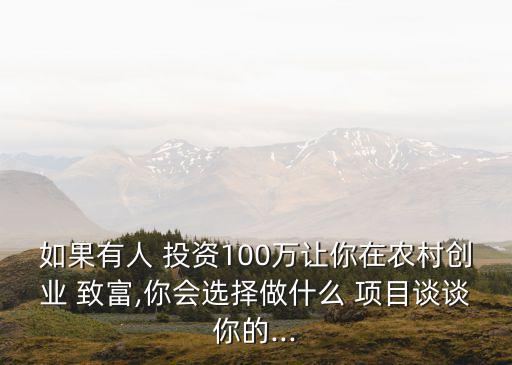 如果有人 投資100萬讓你在農村創(chuàng)業(yè) 致富,你會選擇做什么 項目談談你的...