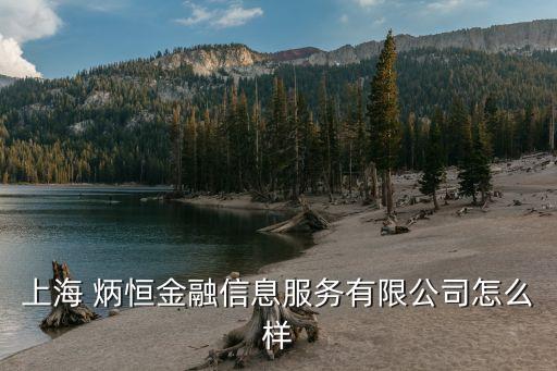 上海 炳恒金融信息服務(wù)有限公司怎么樣