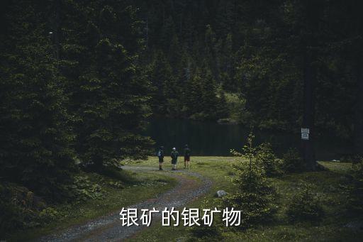 中國(guó)已探明白銀儲(chǔ)量,全球白銀探明儲(chǔ)量