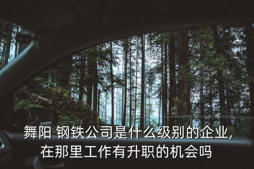  舞陽 鋼鐵公司是什么級(jí)別的企業(yè),在那里工作有升職的機(jī)會(huì)嗎