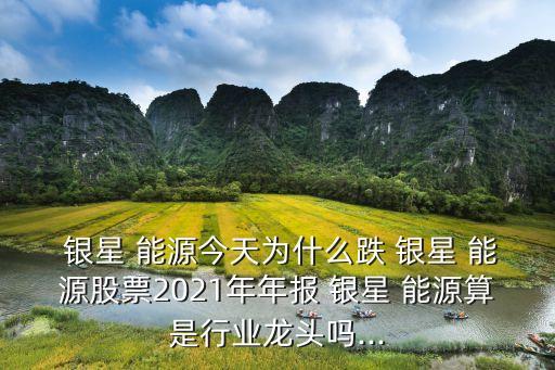  銀星 能源今天為什么跌 銀星 能源股票2021年年報 銀星 能源算是行業(yè)龍頭嗎...