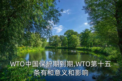 WTO中國保護(hù)期到期,WTO第十五條有和意義和影響