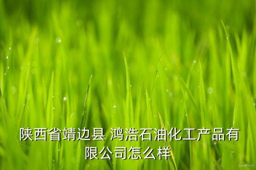  陜西省靖邊縣 鴻浩石油化工產(chǎn)品有限公司怎么樣