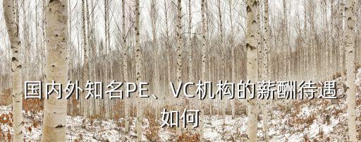 國內(nèi)外知名PE、VC機構(gòu)的薪酬待遇如何