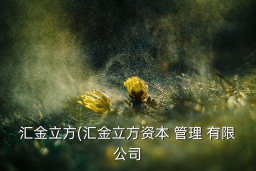 匯金立方(匯金立方資本 管理 有限公司