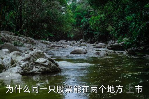 為什么同一只股票能在兩個(gè)地方 上市