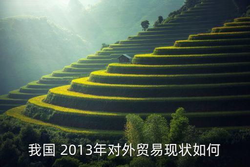 2013中國進口額,中國農(nóng)產(chǎn)品進口額