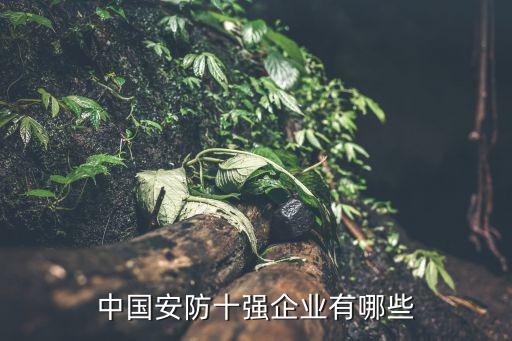 中國安防十強(qiáng)企業(yè)有哪些