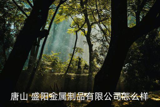 盛陽(yáng)投資法人