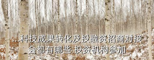 ...科技成果轉(zhuǎn)化及投融資招商對接會都有哪些 投資機(jī)構(gòu)參加