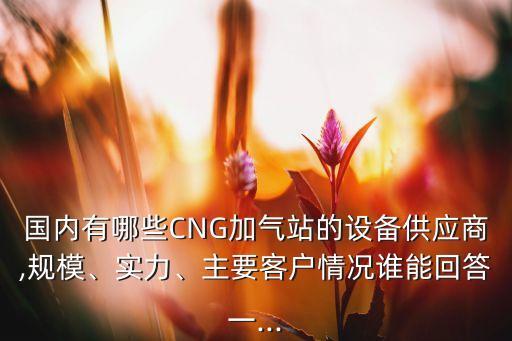 國內(nèi)有哪些CNG加氣站的設(shè)備供應(yīng)商,規(guī)模、實(shí)力、主要客戶情況誰能回答一...