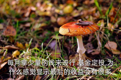 每月拿少量的錢來進行 基金定投,為什么感覺顯示最后的收益會有很多