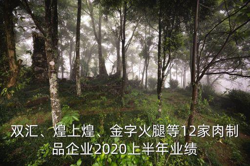 雙匯、煌上煌、金字火腿等12家肉制品企業(yè)2020上半年業(yè)績