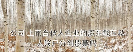  公司 上市合伙人企業(yè)的股東能在私人賬戶分到股票嗎