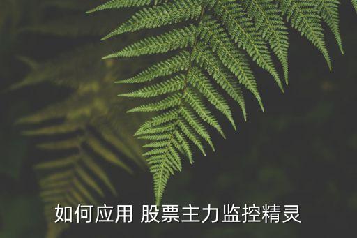 如何應(yīng)用 股票主力監(jiān)控精靈