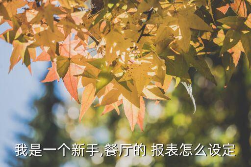 我是一個新手,餐廳的 報表怎么設(shè)定