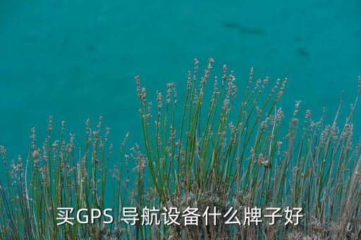 買GPS 導航設備什么牌子好