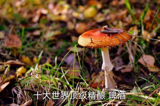 百威英博昆明啤酒有限公司,哈爾濱百威英博啤酒有限公司