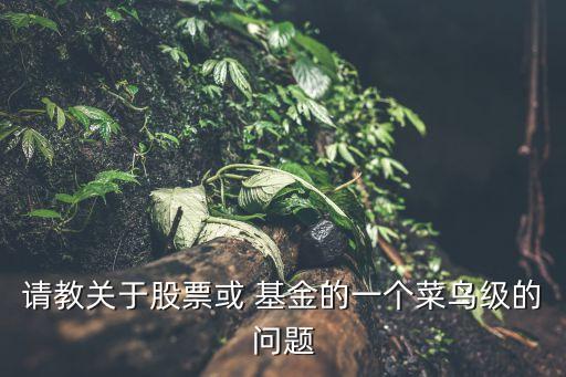 請教關(guān)于股票或 基金的一個菜鳥級的問題