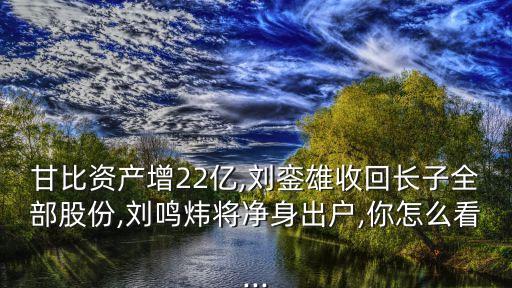 甘比資產(chǎn)增22億,劉鑾雄收回長子全部股份,劉鳴煒將凈身出戶,你怎么看...