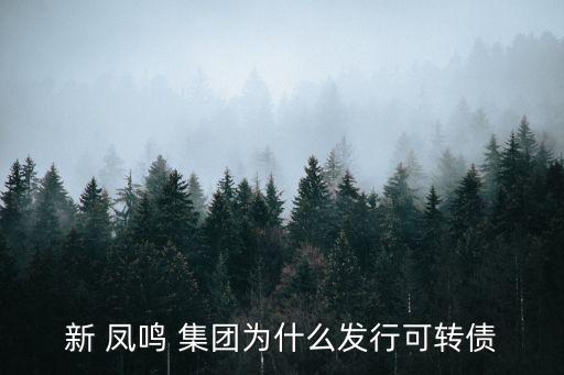 新 鳳鳴 集團為什么發(fā)行可轉(zhuǎn)債