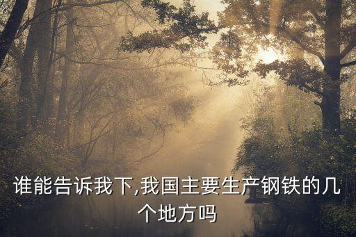 誰能告訴我下,我國主要生產(chǎn)鋼鐵的幾個地方嗎