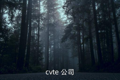 cvte 公司