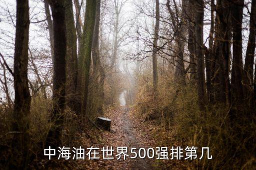 中海油在世界500強(qiáng)排第幾