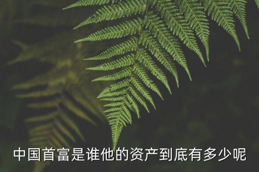 中國富豪年收入,富豪收入標(biāo)準(zhǔn)