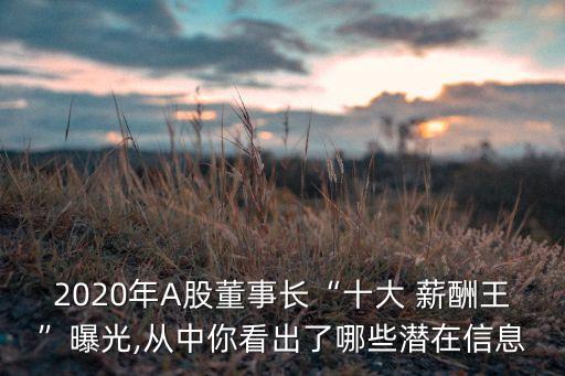 2020年A股董事長(zhǎng)“十大 薪酬王”曝光,從中你看出了哪些潛在信息