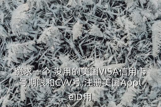 跪求一個(gè) 沒用的美國VISA信用卡號(hào)期限和CVV號(hào),注冊(cè)美國AppleID用