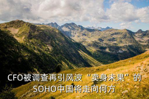 CFO被調(diào)查再引風(fēng)波“賣身未果”的SOHO中國將走向何方