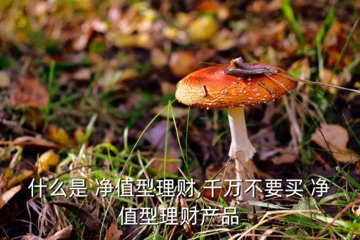 什么是 凈值型理財,千萬不要買 凈值型理財產(chǎn)品