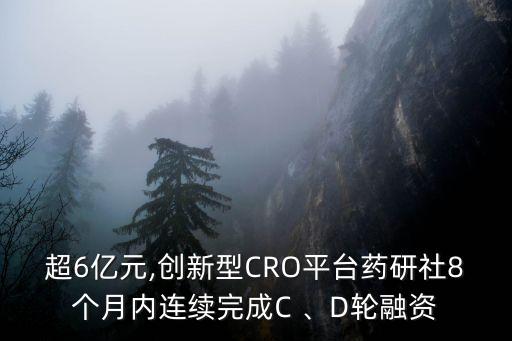 超6億元,創(chuàng)新型CRO平臺藥研社8個月內(nèi)連續(xù)完成C 、D輪融資