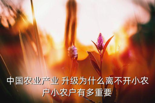 中國(guó)農(nóng)業(yè)產(chǎn)業(yè) 升級(jí)為什么離不開(kāi)小農(nóng)戶(hù)小農(nóng)戶(hù)有多重要