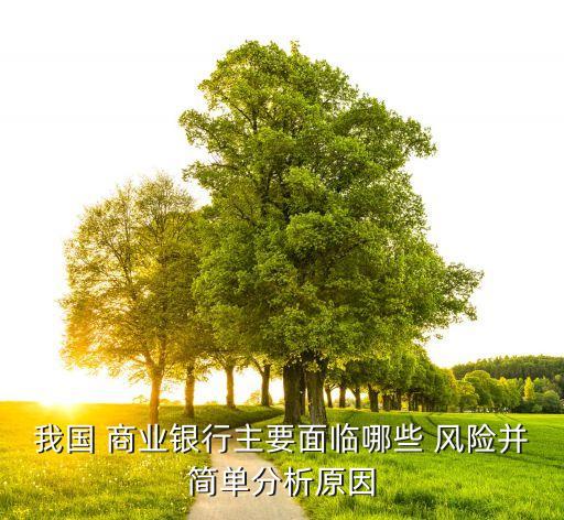 我國(guó) 商業(yè)銀行主要面臨哪些 風(fēng)險(xiǎn)并簡(jiǎn)單分析原因