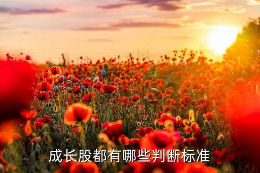 成長(zhǎng)股都有哪些判斷標(biāo)準(zhǔn)