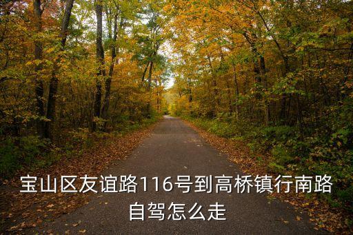 寶山區(qū)友誼路116號到高橋鎮(zhèn)行南路自駕怎么走