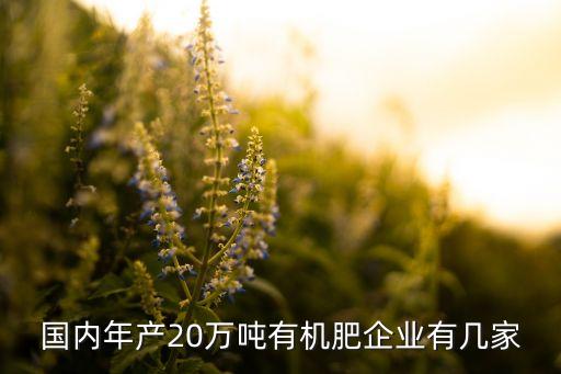 國內年產20萬噸有機肥企業(yè)有幾家