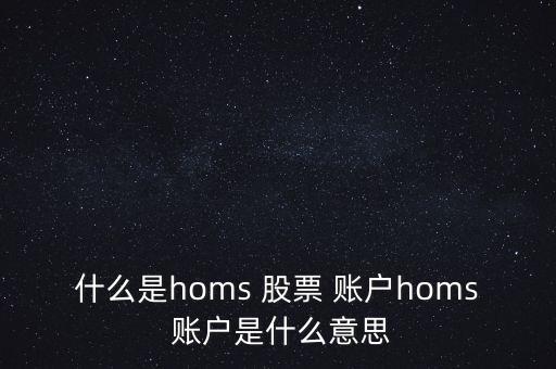 什么是homs 股票 賬戶homs 賬戶是什么意思