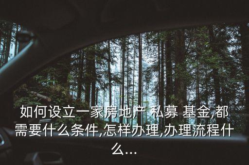 如何設立一家房地產 私募 基金,都需要什么條件,怎樣辦理,辦理流程什么...