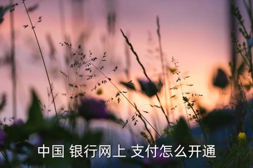 中國(guó) 銀行網(wǎng)上 支付怎么開(kāi)通