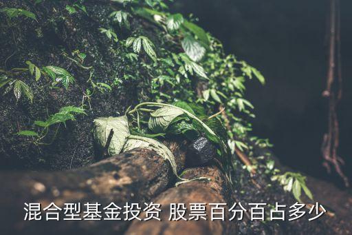 混合型基金投資 股票百分百占多少