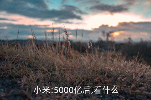  小米:5000億后,看什么