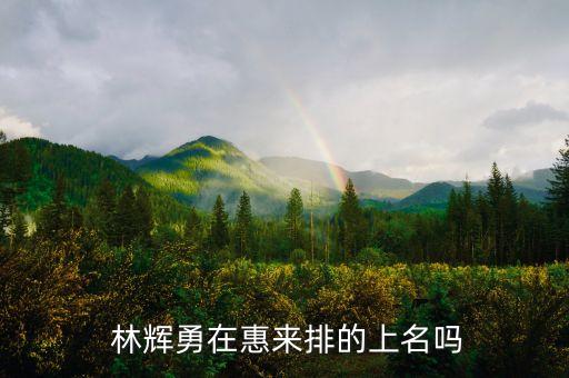 北京永利多房地產(chǎn)有限公司董事長林輝勇